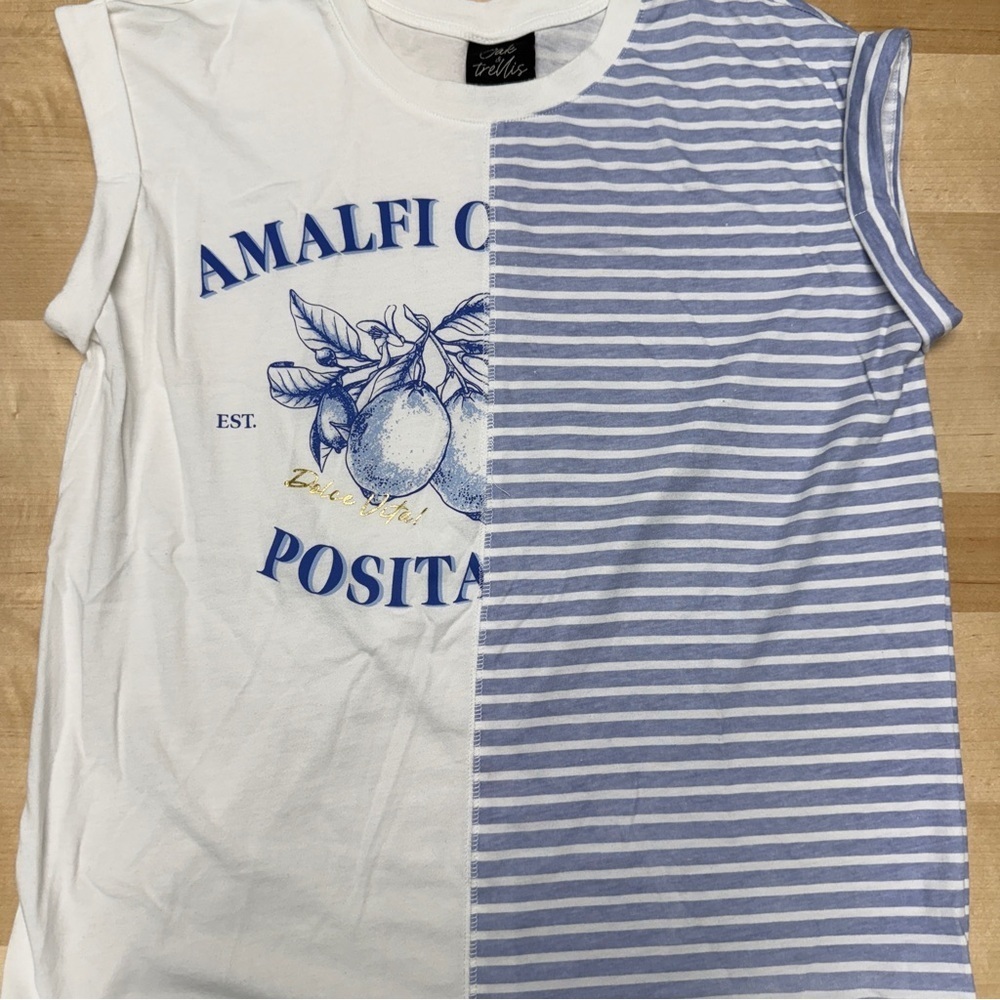 OAK & Trellis White and Blue Split Striped Shirt Lemons Gold accents